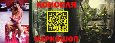 стафф Дубна