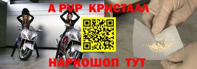 стафф Дубна