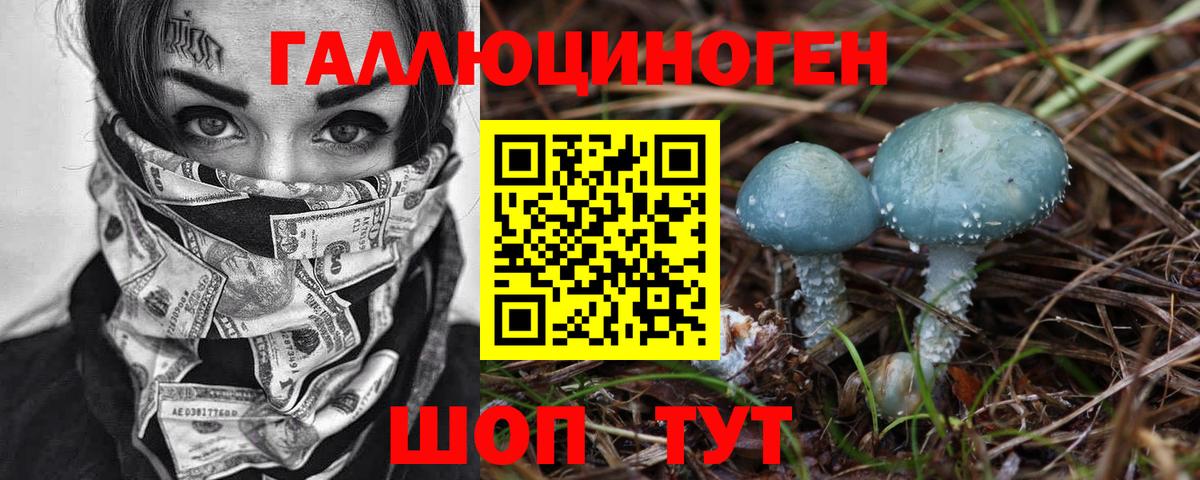 Псилоцибиновые грибы Psilocybe  Вход с VPN  Магадан 